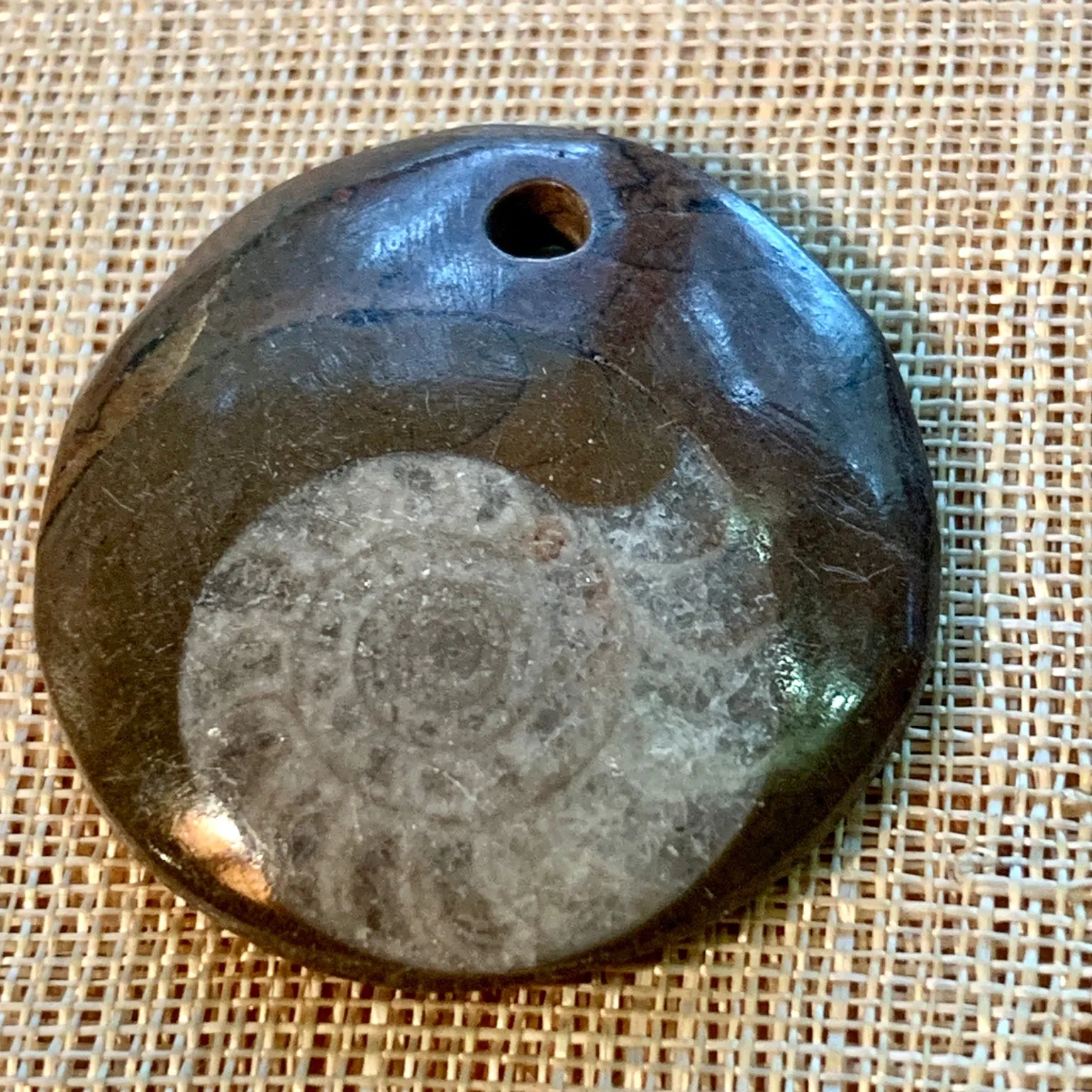 Ammonite Fossil Pendants