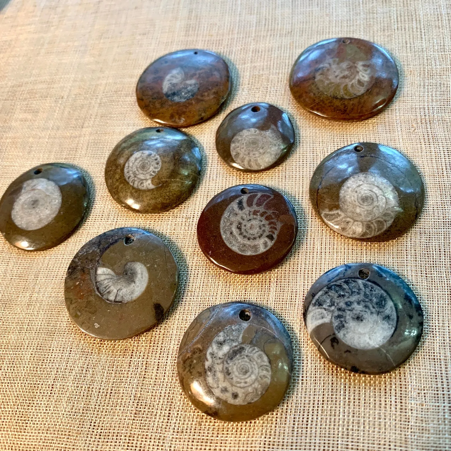 Ammonite Fossil Pendants