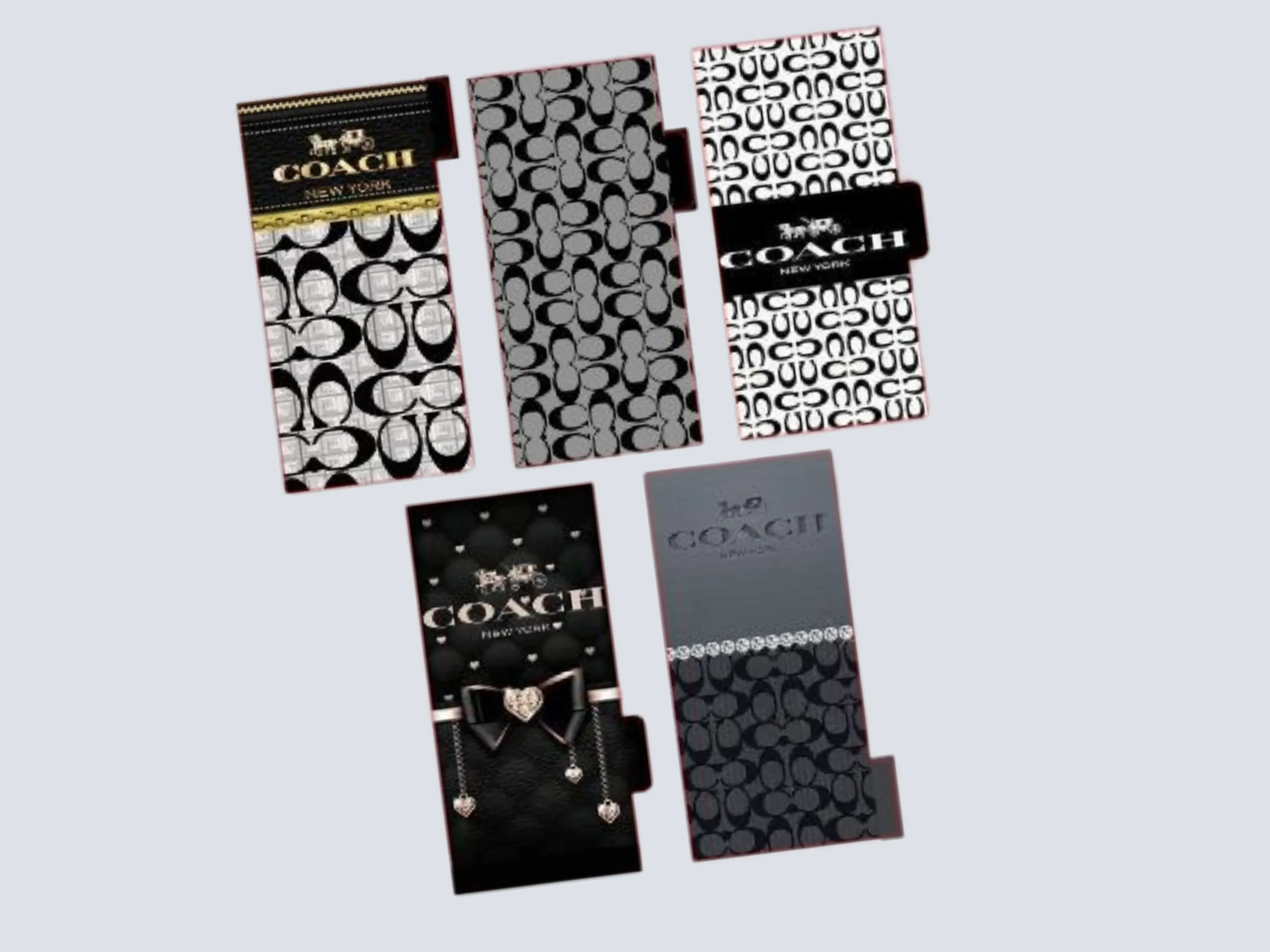Cash Envelopes | B&W Coach | Set of 5