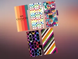 Cash Envelopes | Coach Pride | Set of 5
