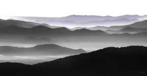 Elegant Layers II
