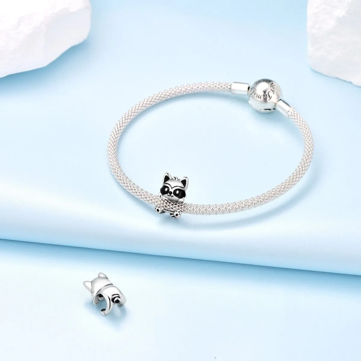 Hugging Raccoon Charm