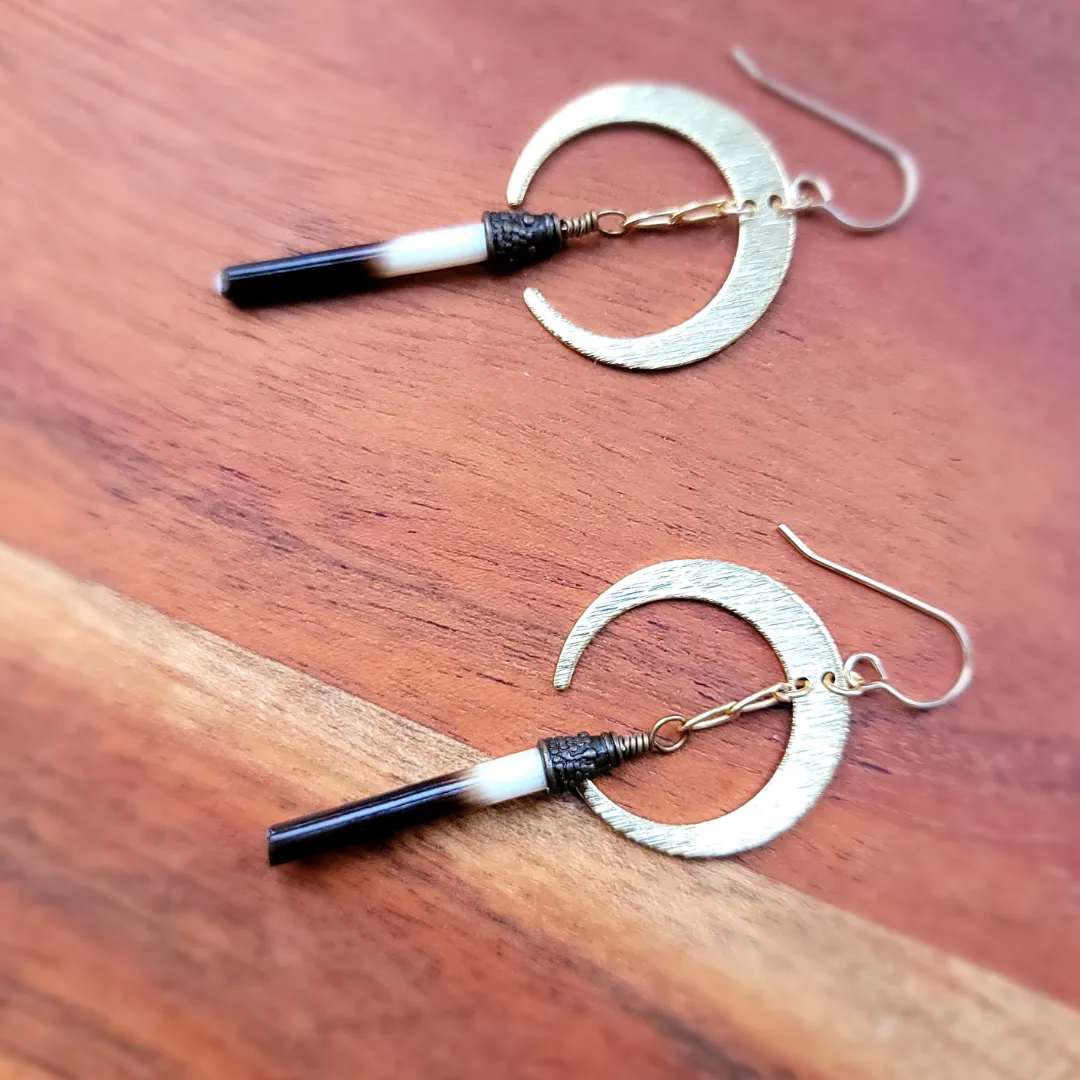 Porcupine Quill Celestial Earrings