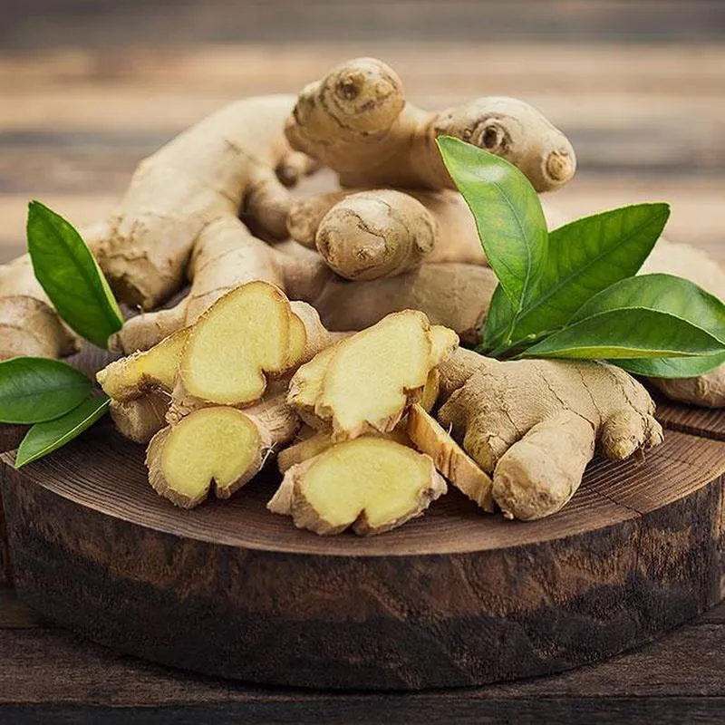 Sun's Eye "Ginger" Oil