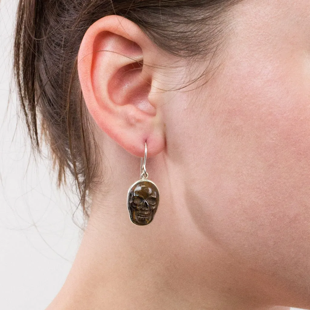 Tiger Iron Drop Earrings
