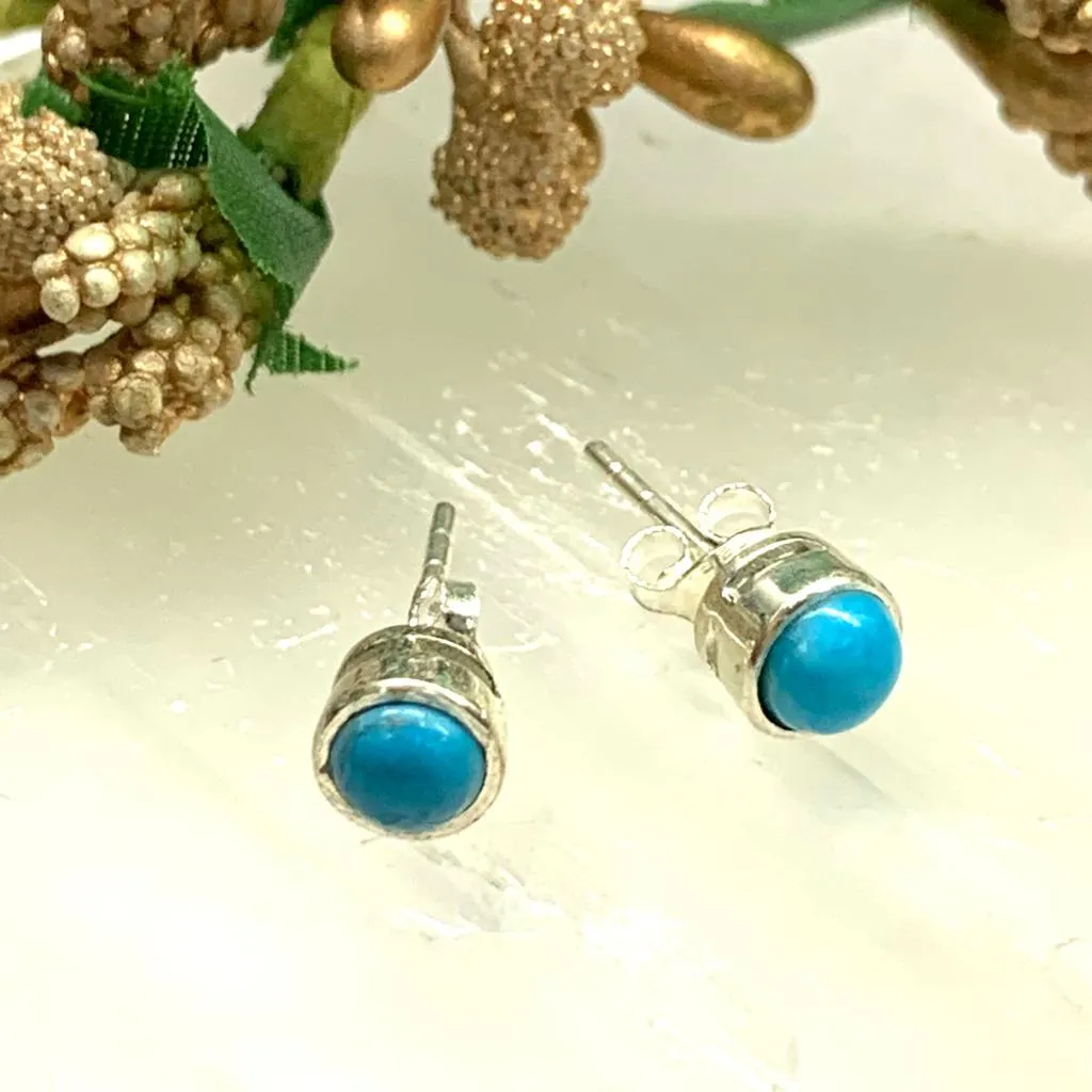 Turquoise Earrings in Silver