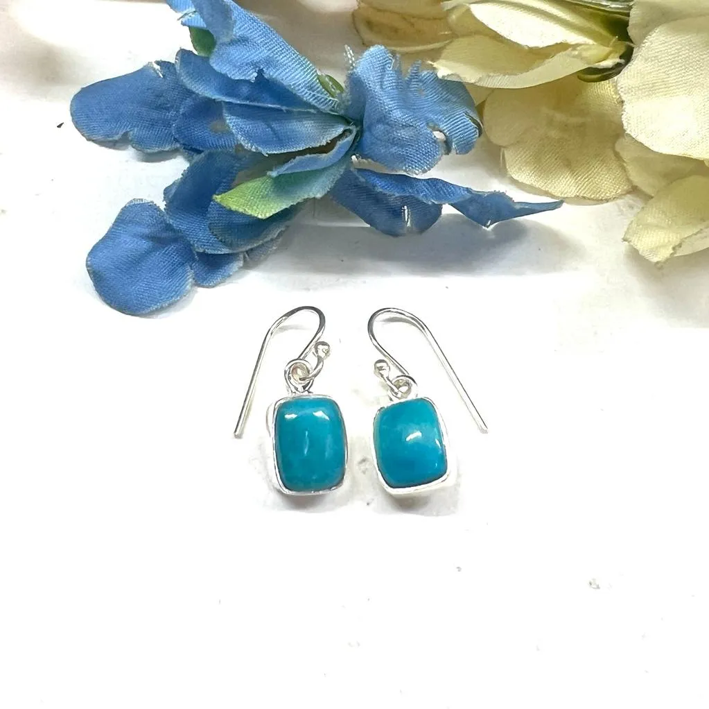 Turquoise Earrings in Silver